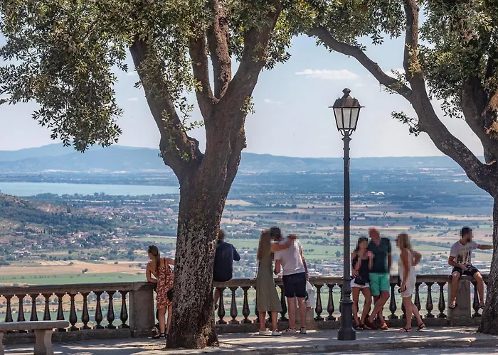 Pet Friendly In With Wifi