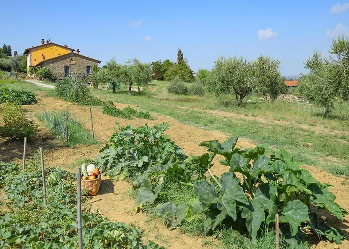 Pet Friendly In With Wifi Casa vacanze *