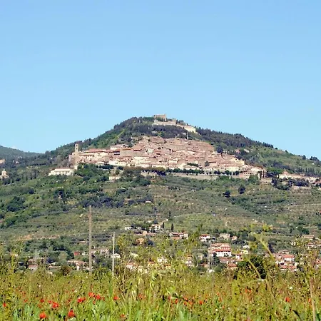 Vakantiehuis Pet Friendly In With Wifi